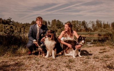 Hochzeitportraits Sabrina & Manuel mit Hunden in Amtzell